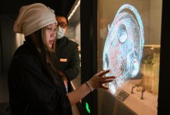 珍藏正在博物馆里的文物、陈列正在广漠大地上
